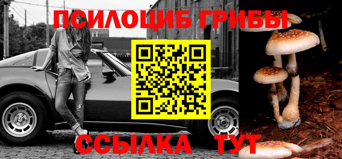 Псилоцибиновые грибы Magic Shrooms  Вход с VPN  где продают наркотики  Кызыл  Псилоцибиновые грибы прущие грибы 