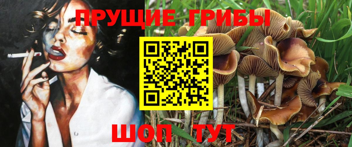 Кызыл  НБОМе  Бошки Шишки  ГАШИШ  Вход с VPN  Канабис  Cocaine  Меф МЯУ МЯУ кристаллы 