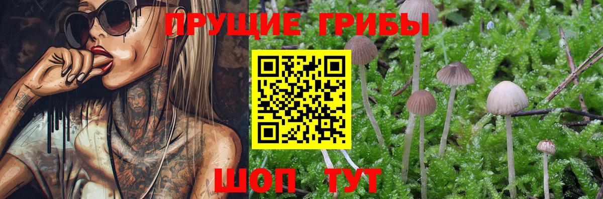 Галлюциногенные грибы прущие грибы Кызыл