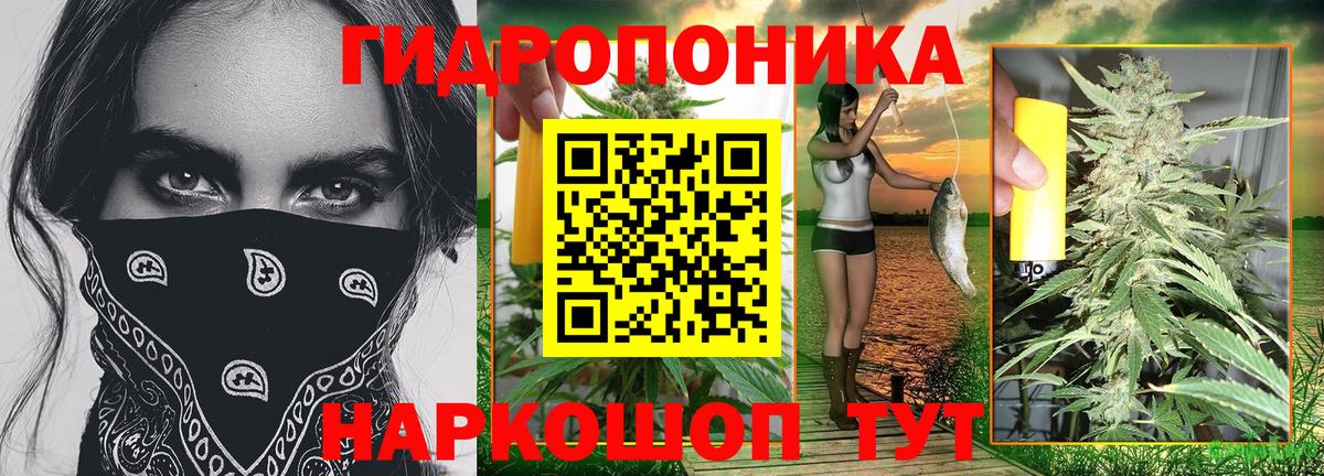 Марихуана VHQ  Шишки марихуана ГИДРОПОН  Шишки марихуана AK-47  Бошки Шишки сатива  Вход с VPN  Кызыл 